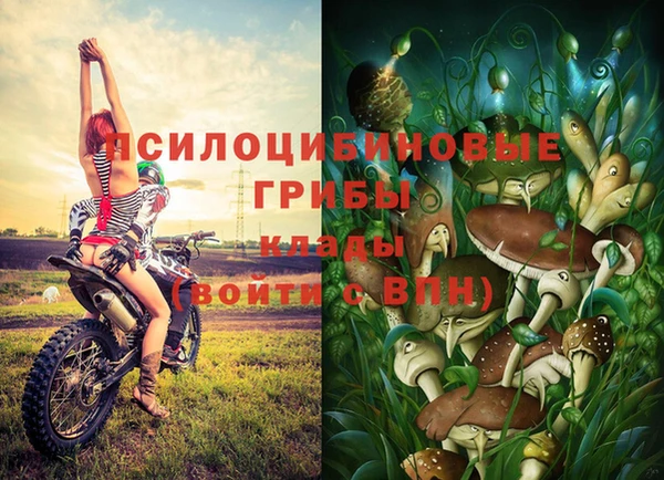 герыч Бугульма