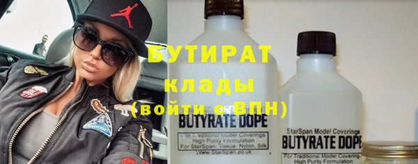 индика Бронницы