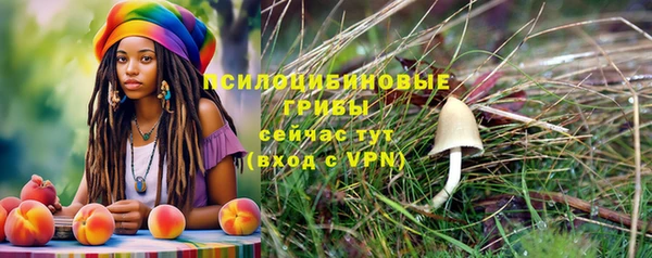 дмт Богородск