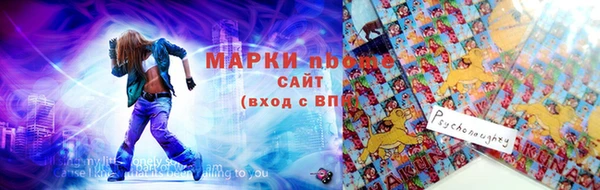 индика Бронницы