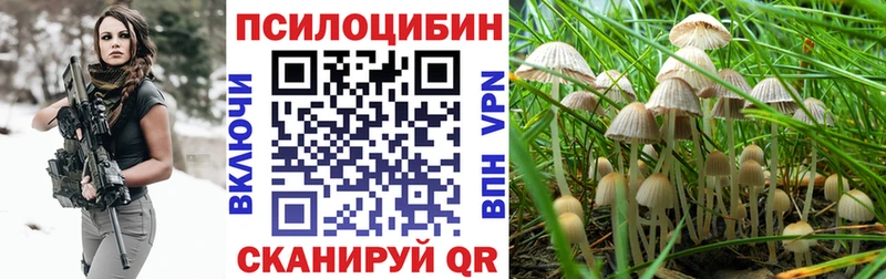 даркнет сайт Кораблино Псилоцибиновые грибы Psilocybe